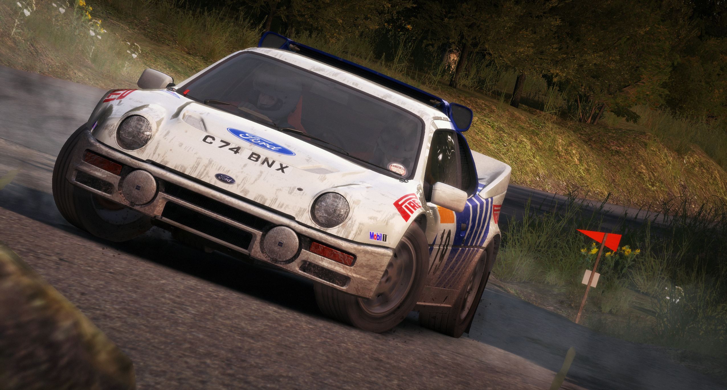 DiRT Rally - Imagen 13
